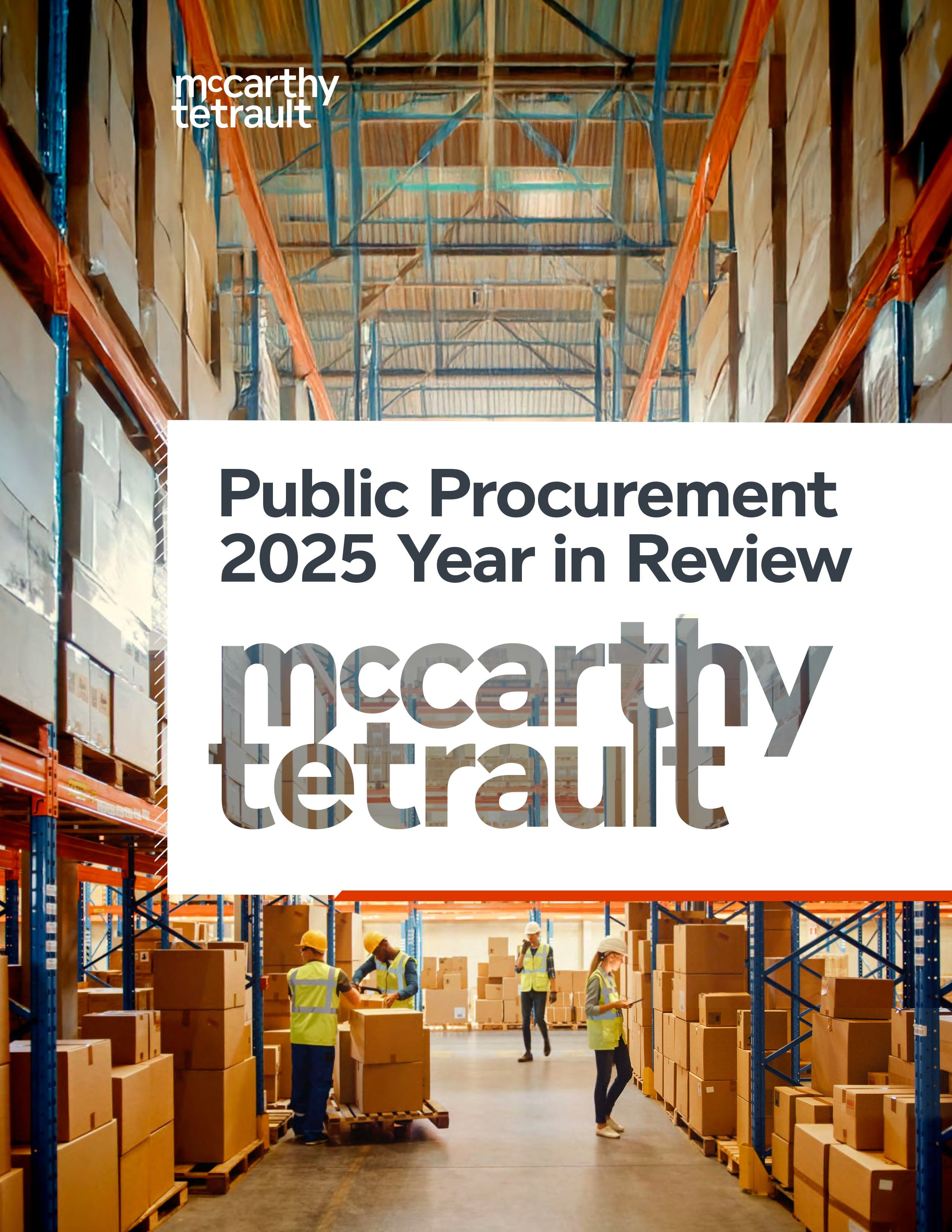Public Procurement 2025 Year in Review